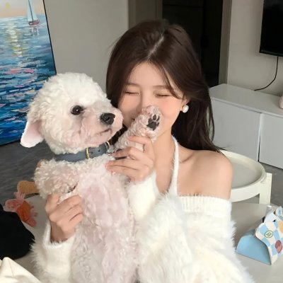 谜探路德维希海报